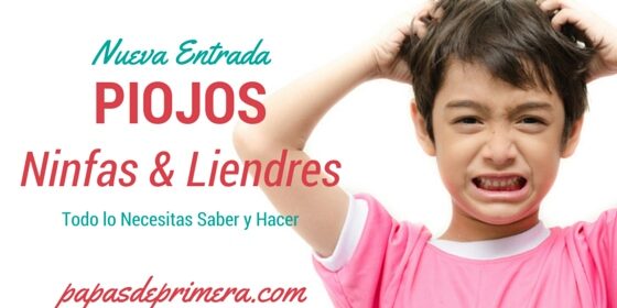 Piojos, Ninfas, Liendres, Lice