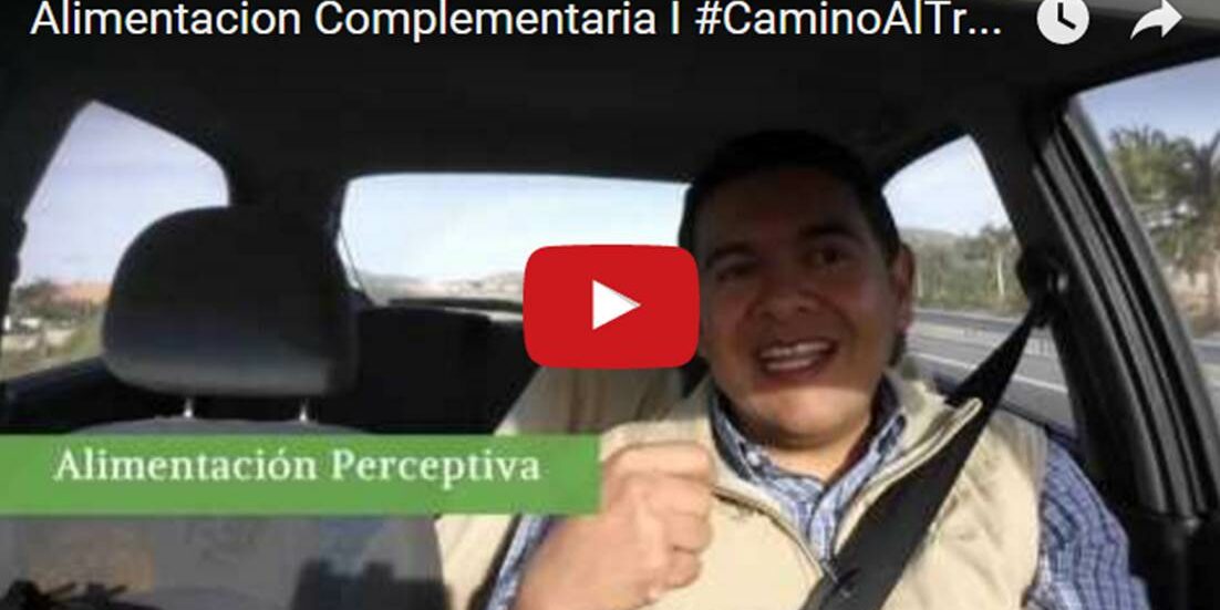 Alimentación Complementaria Ablactacion, los primeros alimentos.