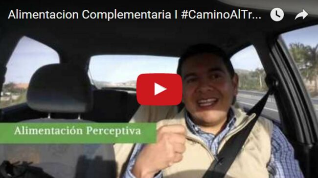 Alimentación Complementaria Ablactacion, los primeros alimentos.