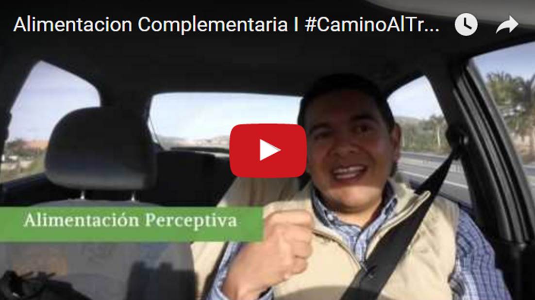 Alimentación Complementaria Ablactacion, los primeros alimentos.