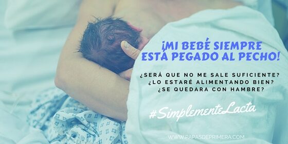 Pegado al Pecho Simplemente Lacta