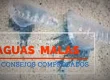 Cuatro consejos contra las aguas malas o medusas