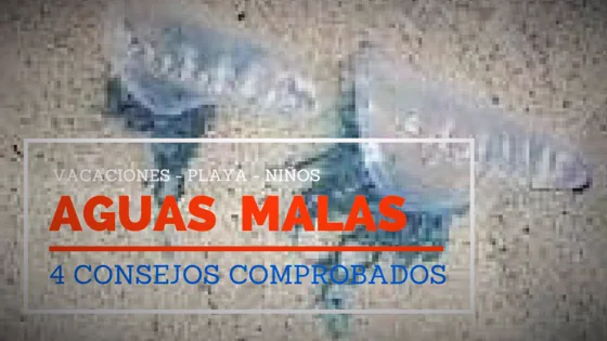 4-consejos-contra-las-aguas-malas Cuatro consejos contra las aguas malas o medusas