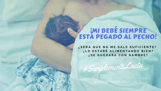 Bebé que siempre está pegado al pecho durante la lactancia
