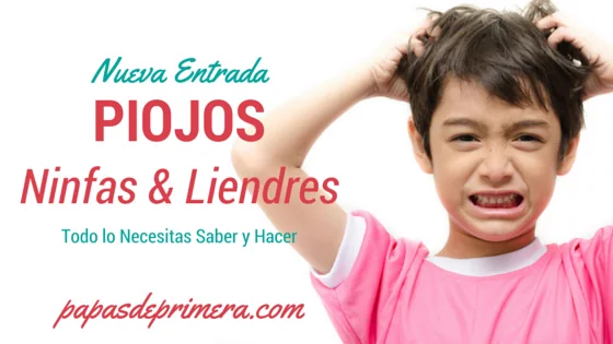 Piojos, ninfas y liendres en el cabello infantil